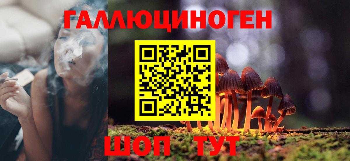 Галлюциногенные грибы Magic Shrooms Муром